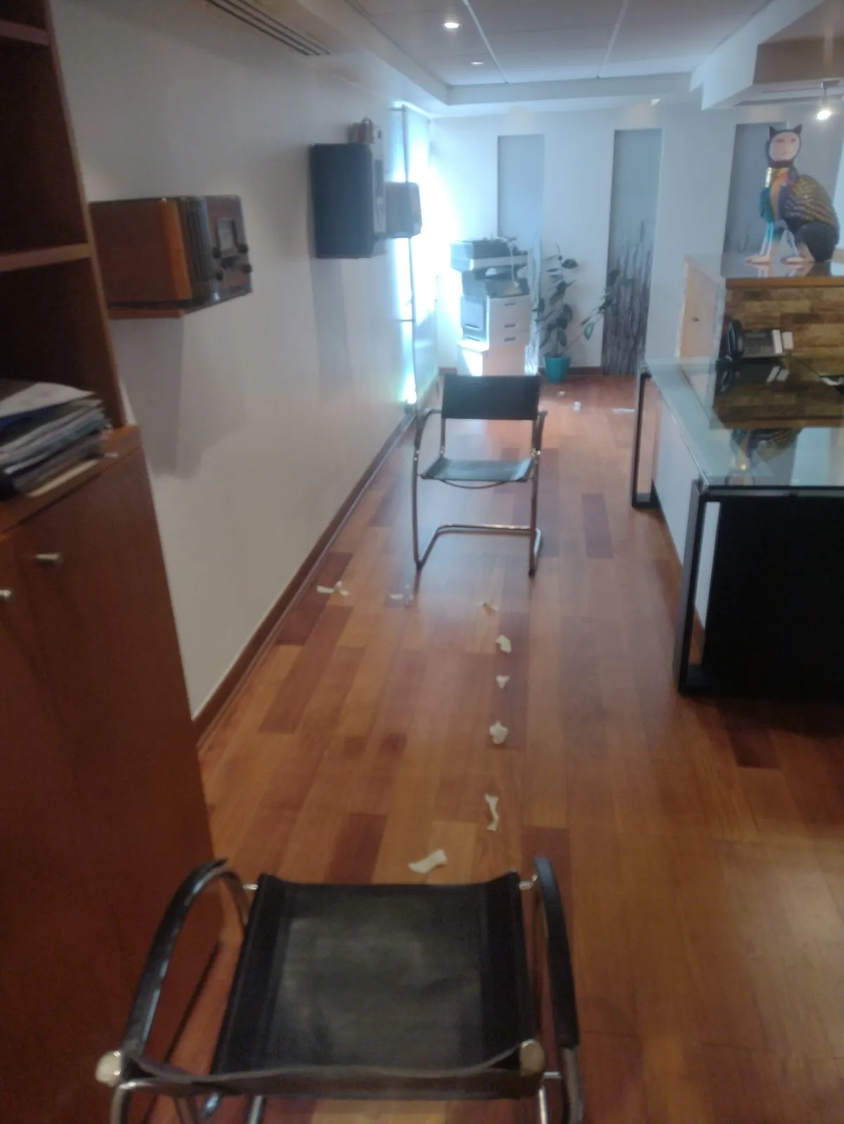 Remodelación de oficinas de Inversiones San Jorge S.A. — foto 1